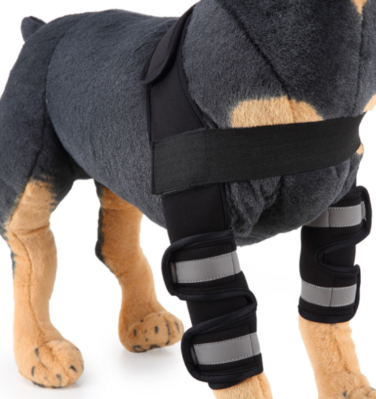 Dog Knee Brace and Leg Protector for Injury Recovery